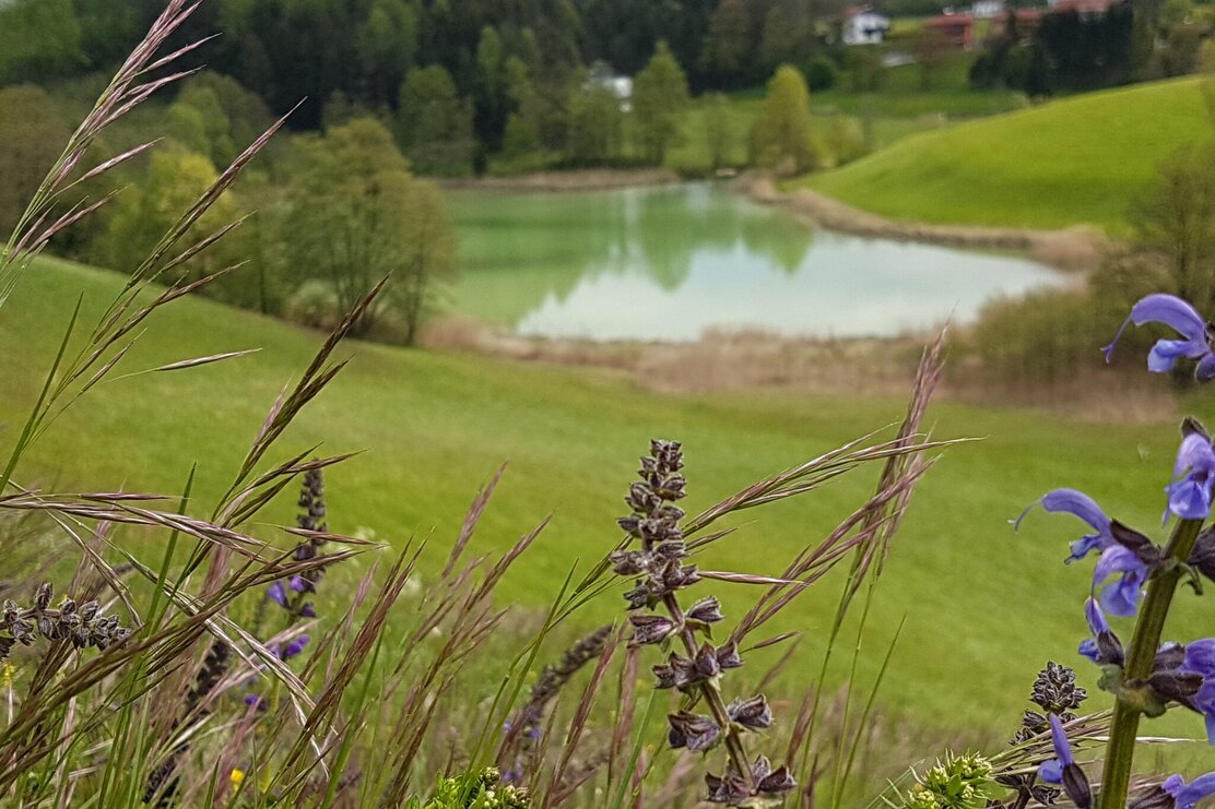 Frauensee Kramsach