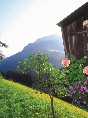 Marterl in Alpbach Marterl in Alpbach