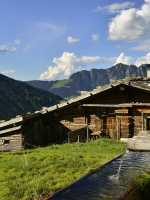 Stettauer Alm im Sommer | © Bernhard Berger Stettauer Alm im Sommer | © Bernhard Berger