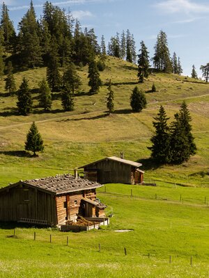 Almengebiet Brandenberg Richtung Zireiner See | © Julia Springhetti