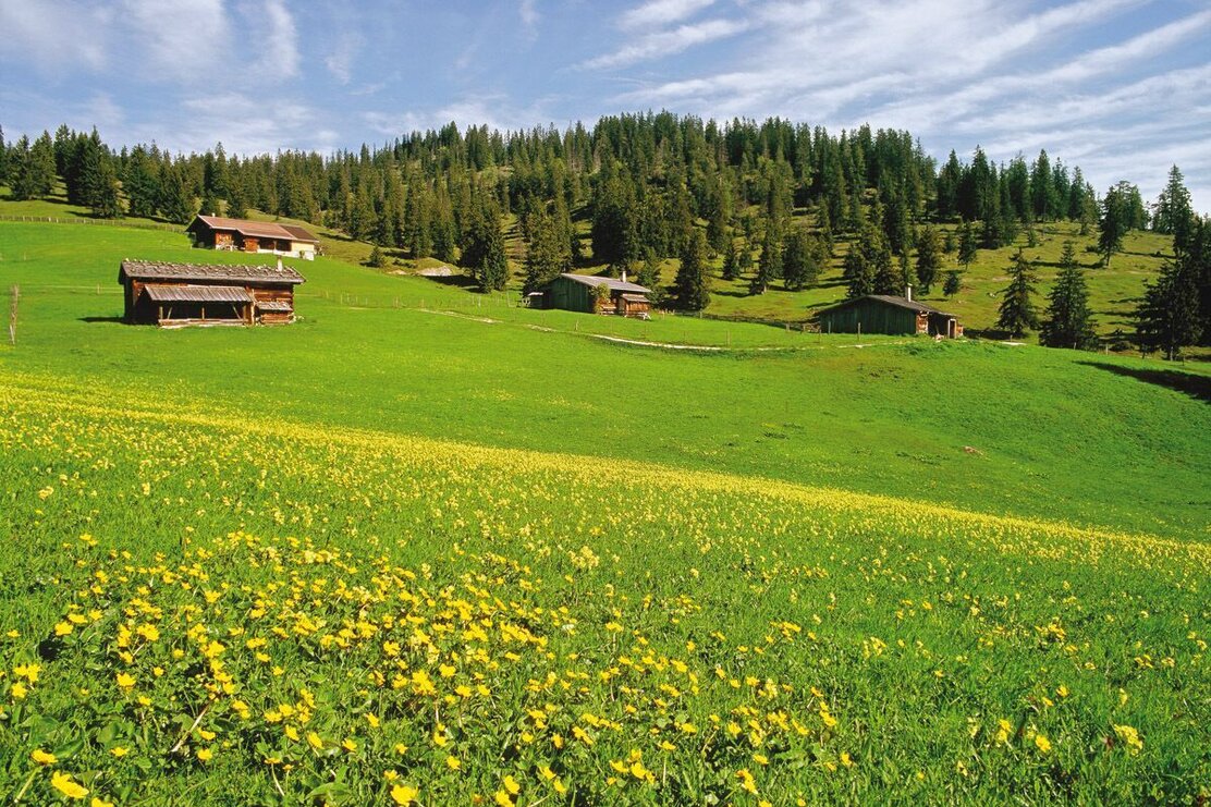 Almengebiet Eilalm Labeggalm Brandenberg | © Birgit Angermair