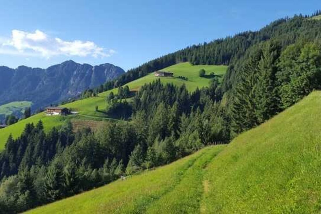 Blick vom Oberen Höhenweg