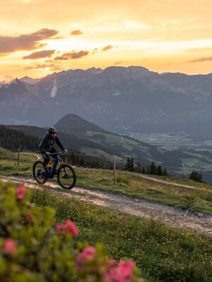Mountainbike Panoramatoru bei Sonnenuntergang mit Almrosen bei Kolber, Reith i.A. | © shootandstyle Mountainbike Panoramatoru bei Sonnenuntergang mit Almrosen bei Kolber, Reith i.A. | © shootandstyle