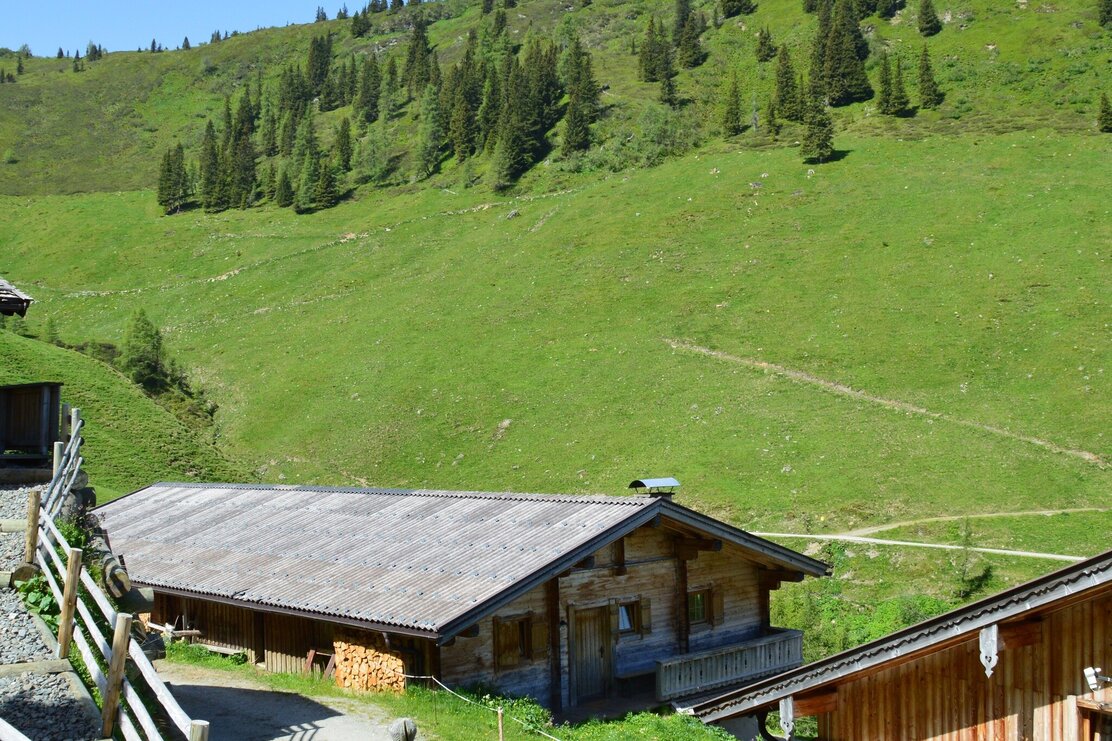 Kohlgrubenalm | © Gabriele Grießenböck