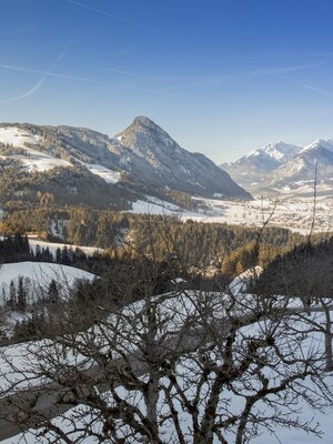 Ausblick vom Pinzgerhof im Winter Ausblick vom Pinzgerhof im Winter