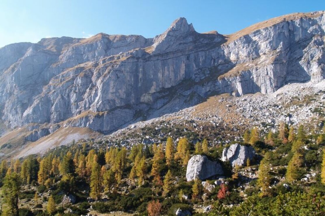 Blick auf das Rofangebirge von den Zireiner Almen aus