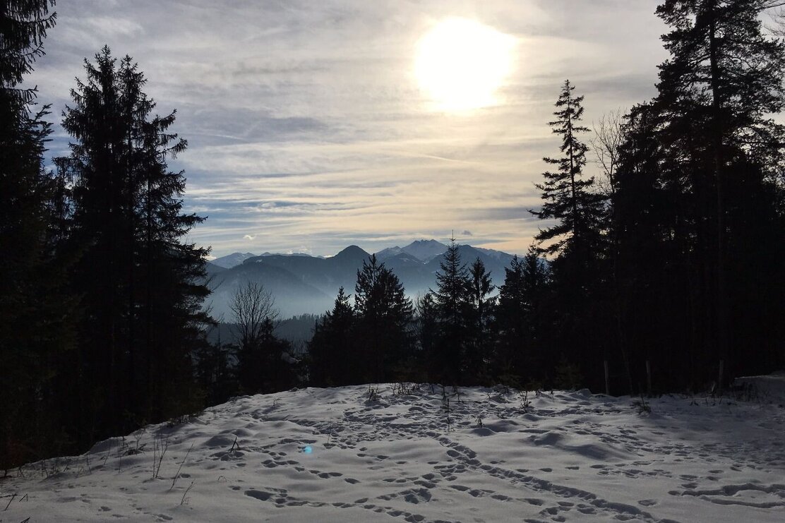 Weg zum Berglsteinersee