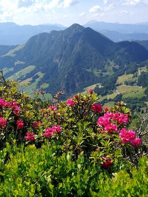 Blick vom Schatzberg zum Gratlspitz Blick vom Schatzberg zum Gratlspitz