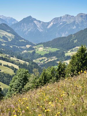 Blick Tal auswärts | © Gabriele Grießenböck Blick Tal auswärts | © Gabriele Grießenböck