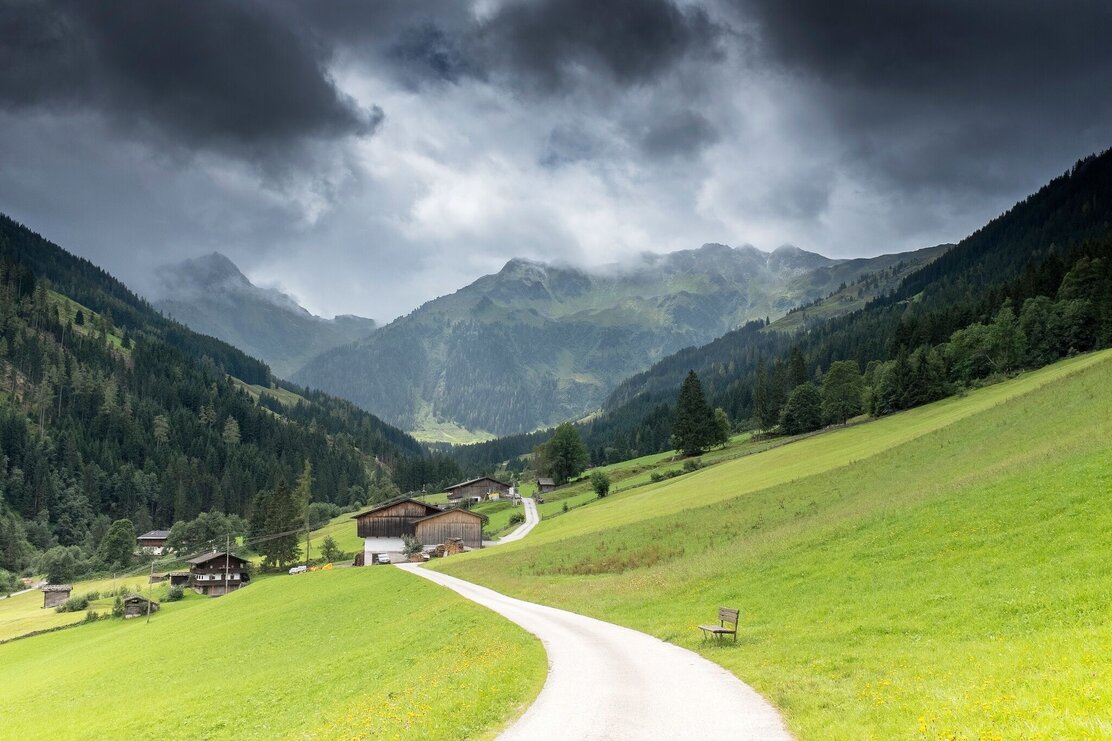 Weg zur Böglalm Inneralpbach | © Matthias Sedlak