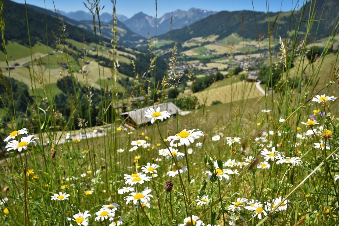 Blick Alpbachtal | © Gabriele Grießenböck