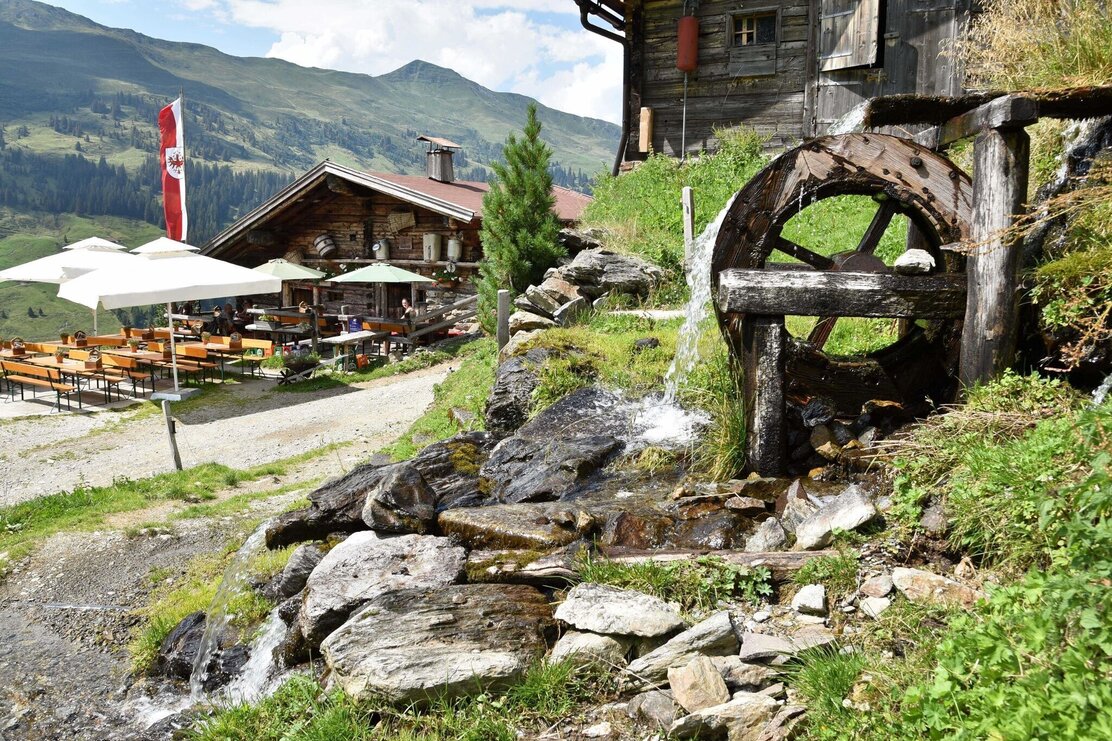 Farmkehralm | © Gabriele Grießenböck