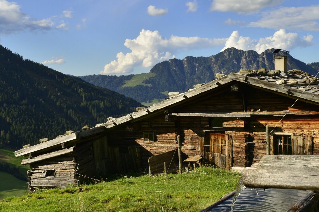 Stettauer Alm im Sommer | © Bernhard Berger