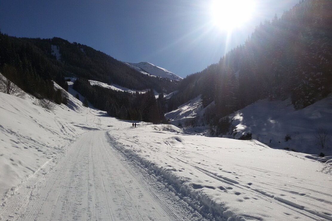 Weg zur Faulbaumgartenalm
