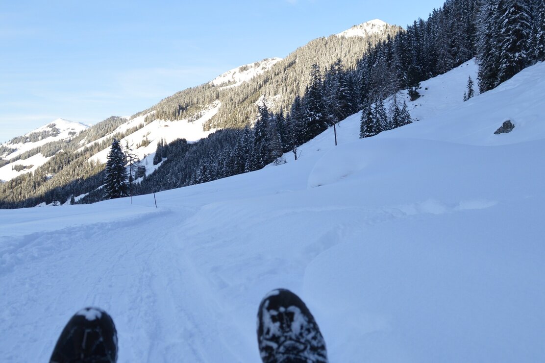 Start Abfahrt Rodelbahn Faulbaumgartenalm