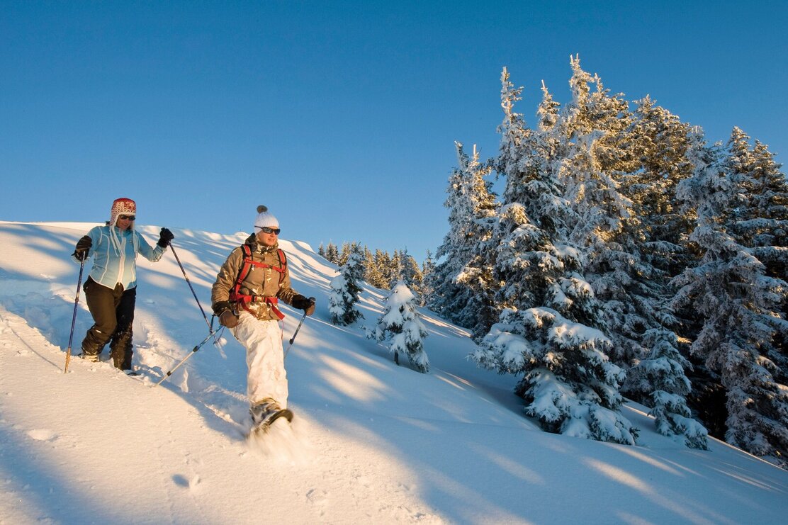 Schneeschuhwandern_Alpbachtal.jpeg