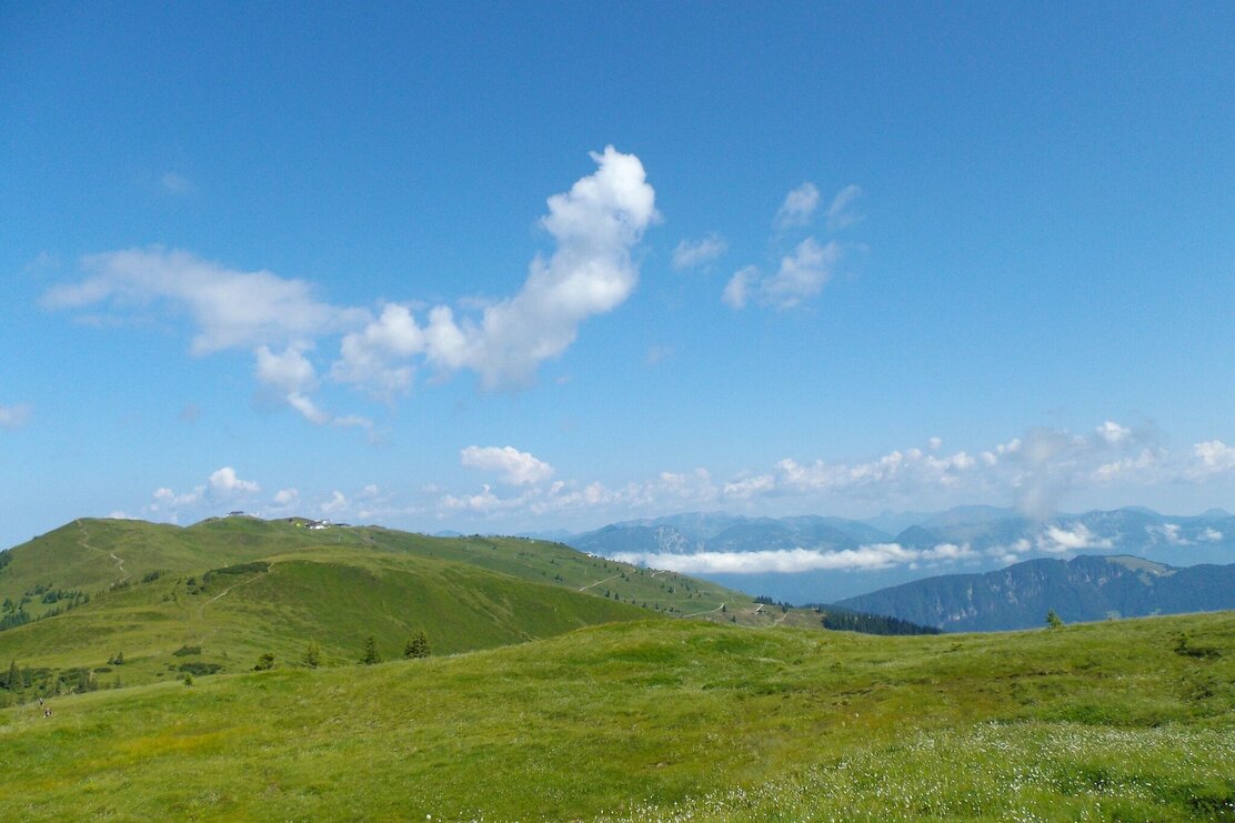 Gernalm Alpbach am Schatzberg | © Michael Mairhofer