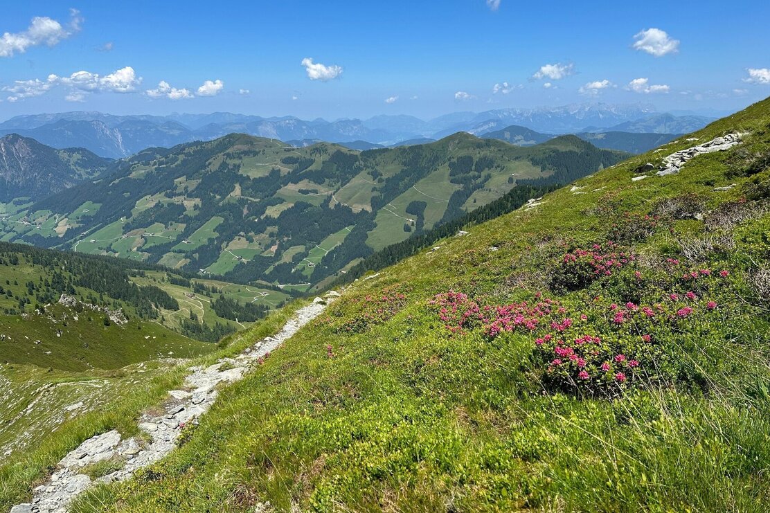 Weg Richtung Gipfel Großer Galtenberg