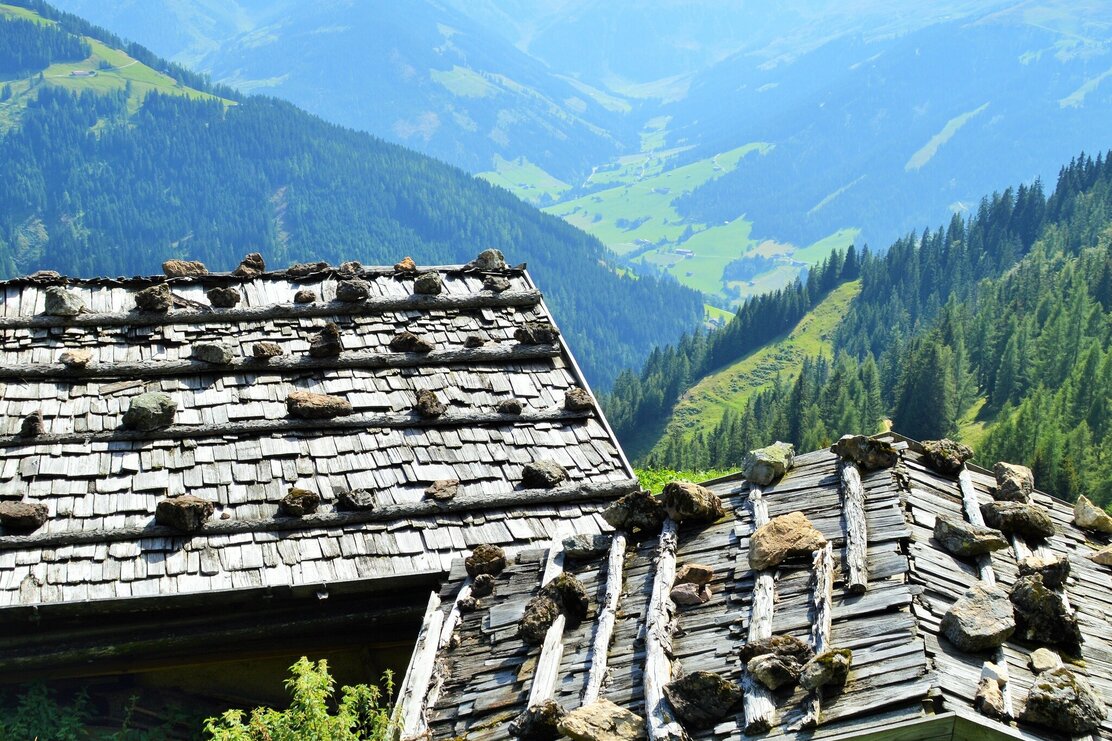 Halsbergalm Alpbach