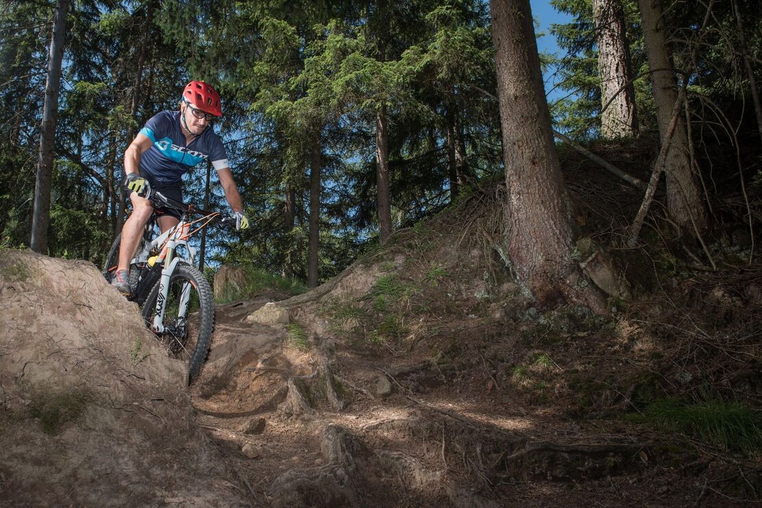 Sharedtrail Holzalm Alpbach Brixlegg Wald down.jpg | © Gabriele Griessenboeck
