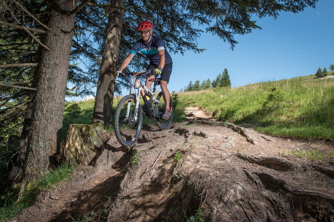 Sharedtrail Holzalm Alpbach Brixlegg Down.jpg | © Gabriele Griessenboeck