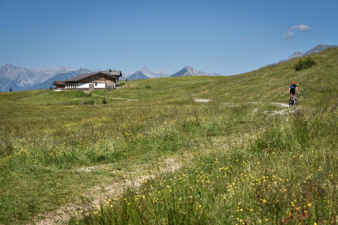Sharedtrail Holzalm Alpbach Brixlegg.jpg | © Gabriele Griessenboeck