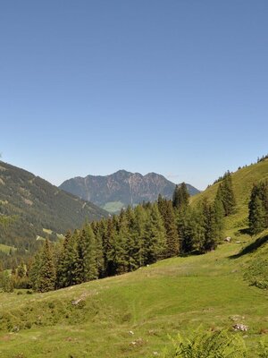 Greiter Graben Tal auswärts Greiter Graben Tal auswärts