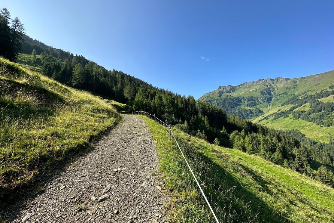 Jagdsteig Weg Inneralpbach - Stettauer Almen | © sa