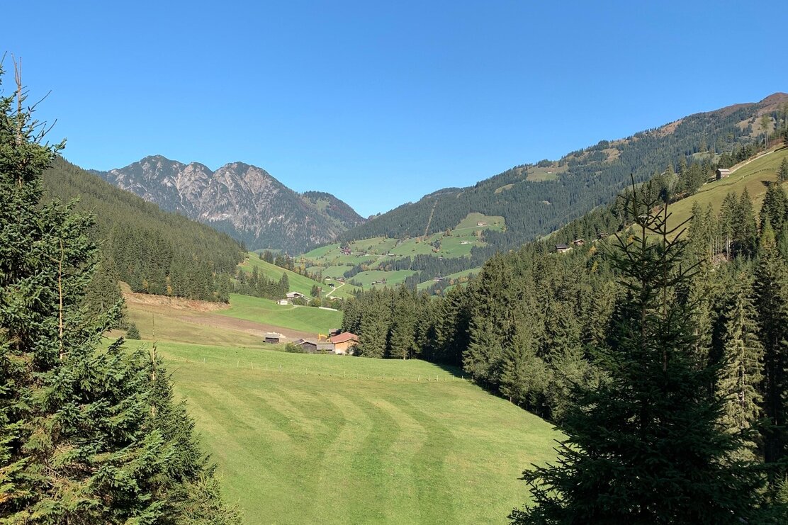 inneralpbach-hornboden 307_img_42839960 | © Manuel Hufnagel