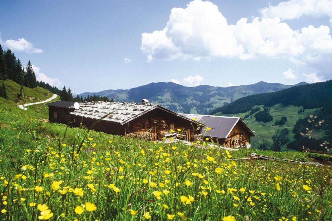 Moserbaumgartenalm Inneralpbach | © Bernhard Berger