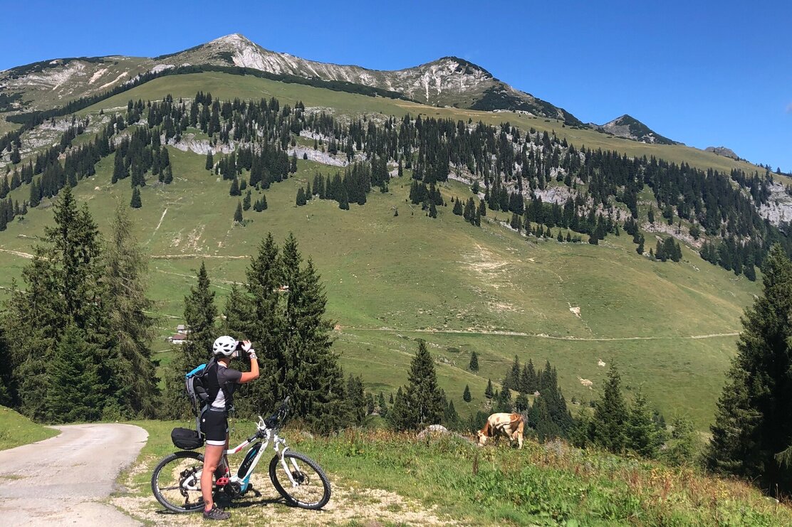 Blick von der Grabenbergalm auf Ackernalm und Hinteres Sonnwendjoch | © Claudia Ager