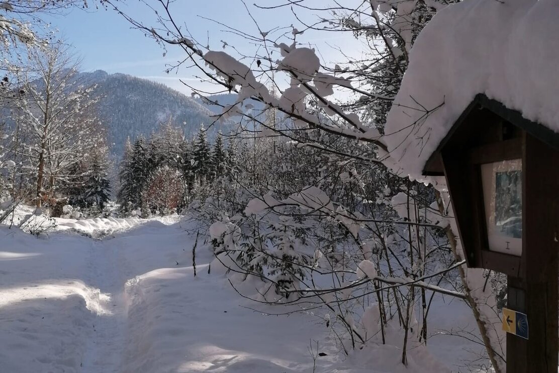 Winterlandschaft Kramsach Hilaribergl | © Birgit Angermair