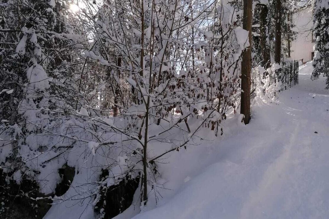 Winterlandschaft Hilaribergl Kramsach | © Birgit Angermair