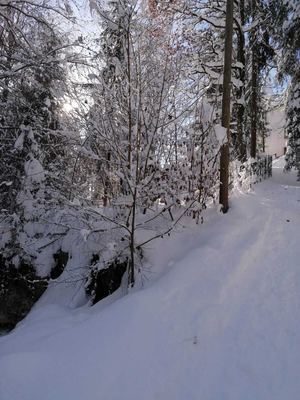 Winterlandschaft Hilaribergl Kramsach | © Birgit Angermair
