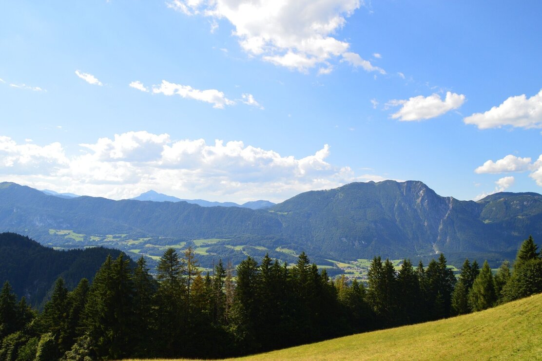 Brach Kundl