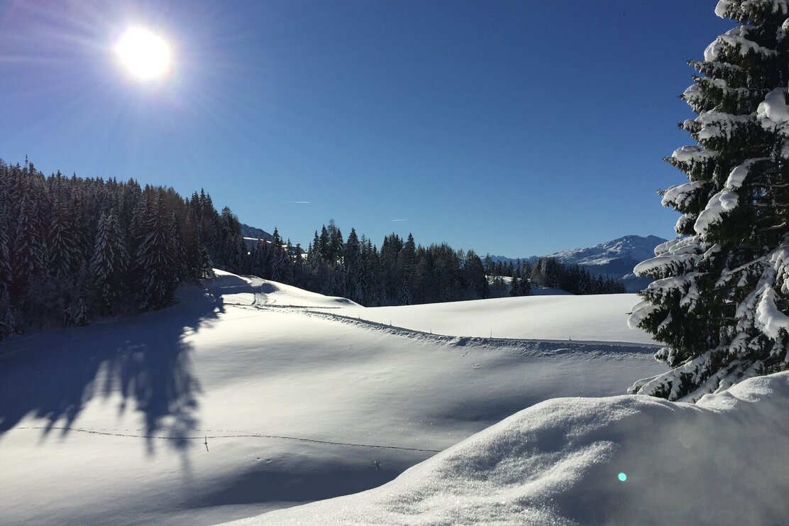 Winterlandschaft rund um Juppi Zauberwald am Reither Kogel
