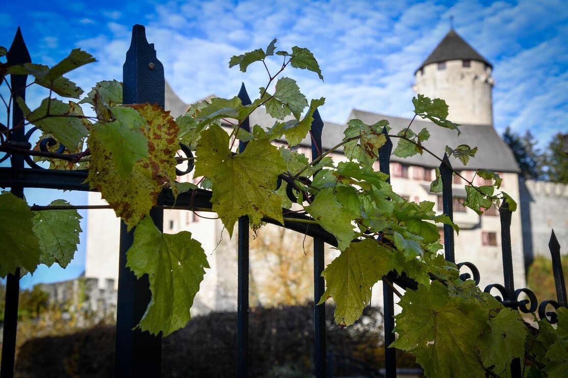 Schlosspark Matzen Zaun