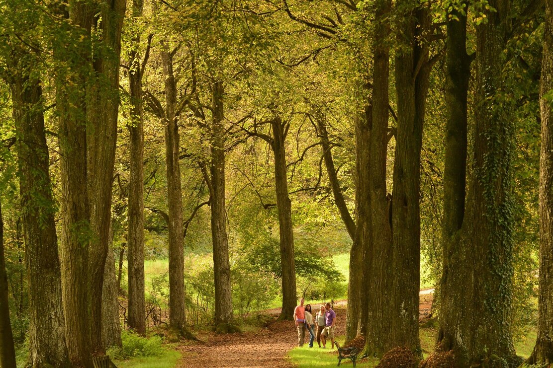 Matzenpark Allee