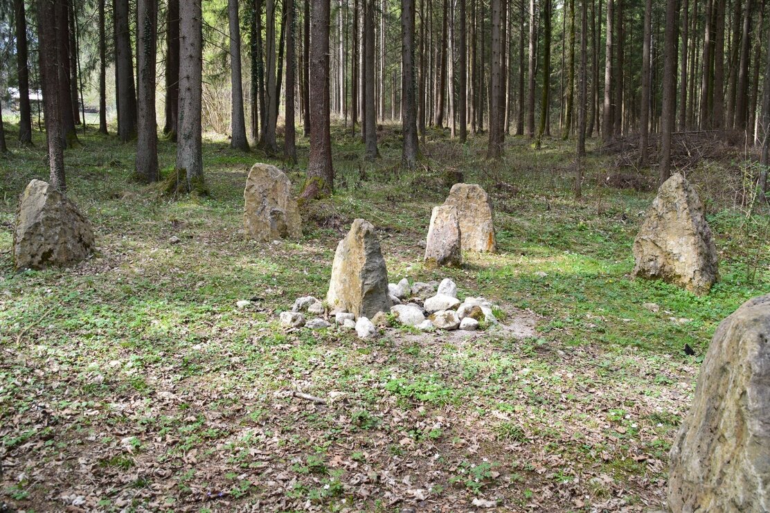 Münster Wald mit Steinkreis | © Michael Mairhofer