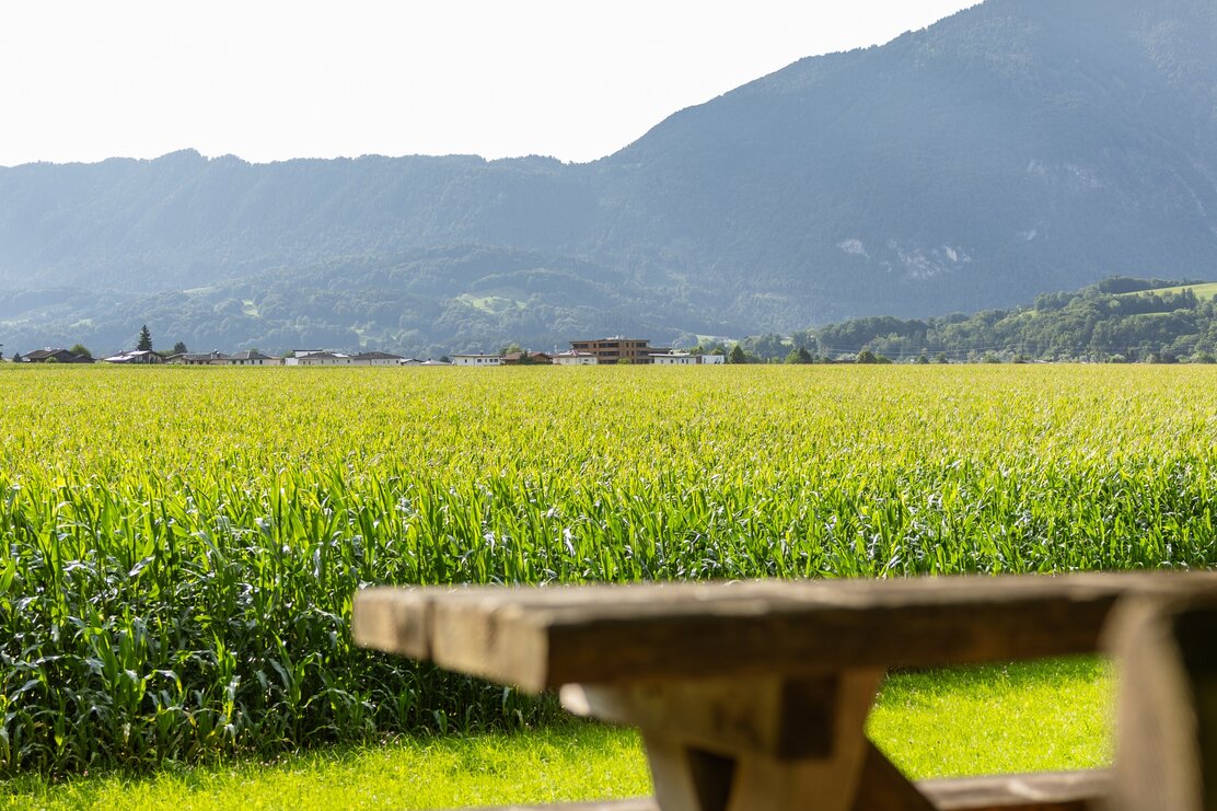 Aussicht Kaltenbrunn | © Julia Springhetti