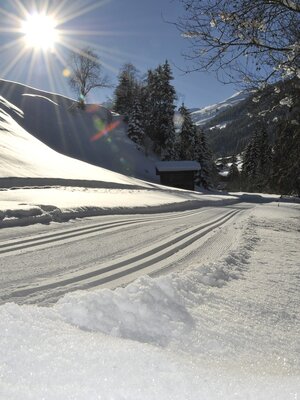 Langlaufen in Inneralpbach Langlaufen in Inneralpbach