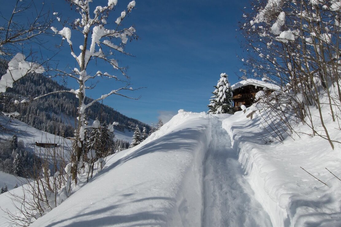 Auf dem mittleren Höhenweg nach Alpbach