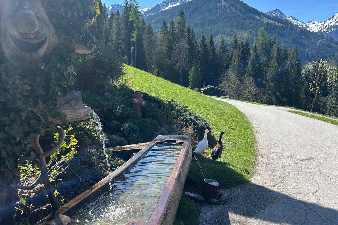 Brunnen entlang des Mittleren Höhenwegs