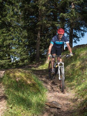 Holzalmtrail