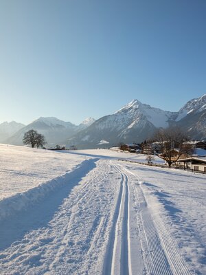 Loipe Reith im Alpbachtal Langlaufen | © Matthias Sedlak Loipe Reith im Alpbachtal Langlaufen | © Matthias Sedlak