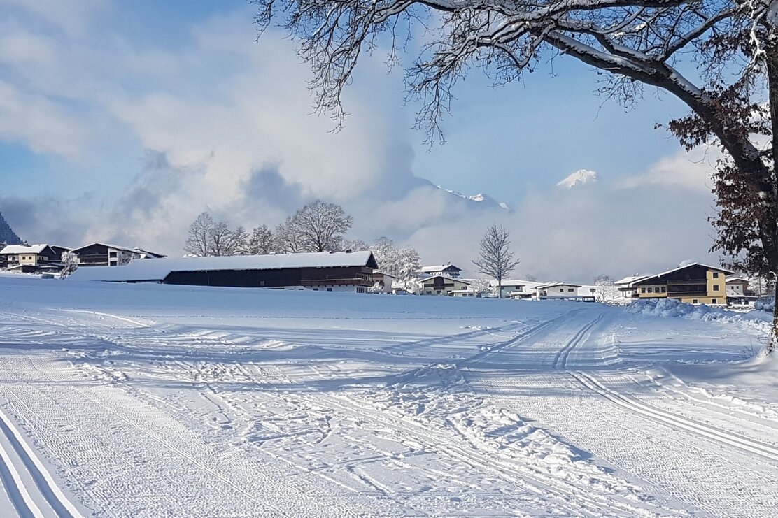 Loipe Reith im Alpbachtal Langlaufen