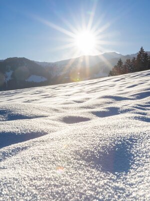 Reith Schneeglitzer | © Matthias Sedlak Reith Schneeglitzer | © Matthias Sedlak