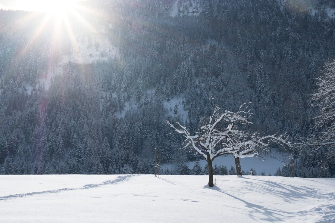 Winterwandern in Reith i.A. | © Matthias Sedlak