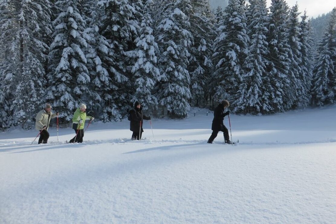 Schneeschuhwandern Brandenberg