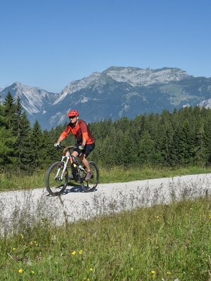 Holzalm-Trail_359_35©Alpbachtal Seenland Tourismus | © Gabriele Grießenböck Holzalm-Trail_359_35©Alpbachtal Seenland Tourismus | © Gabriele Grießenböck